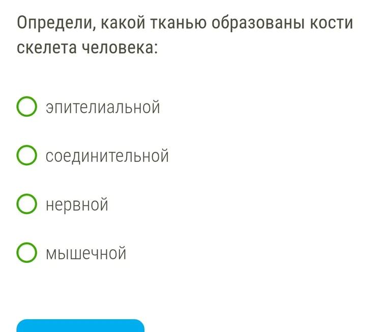 Определи, какой тканью образованы кости скелета человека.