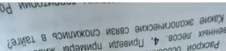 Приведи примеры экологических связей, сложившихся в тайге.