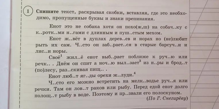 Спиши текст, раскрывая скобки, вставляя, где это необходимо, пропущенные буквы и знаки препинания.
