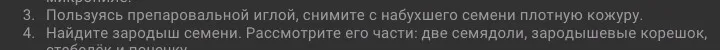 Пользуясь препаровальной иглой, снимите с набухшего семени плотную кожуру.