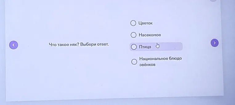 Что такое няк? Выбери ответ.
