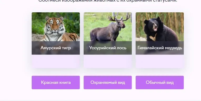 Соотнеси изображения животных с их охранными статусами.