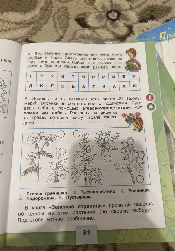 Выполни синтаксический разбор предложения: "Это задание приготовила для тебя мама Серёжи и Нади. Здесь спрятались названия трёх групп растений. Найди их и закрась клеточки с буквами карандашами разного цвета."