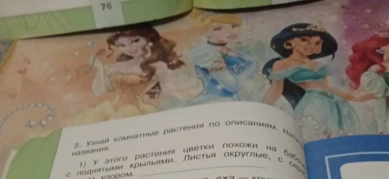 Определи комнатное растение по описанию: «У этого растения цветки похожи на бабочек с поднятыми крыльями. Листья округлые, с серебристым узором.»
