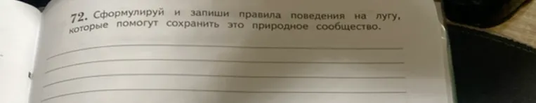 Сформулируй и запиши правила поведения на лугу, которые помогут сохранить это природное сообщество.