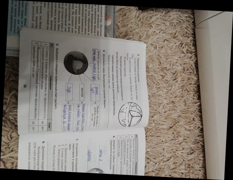 Выбери и обведи правильный ответ (да/нет).