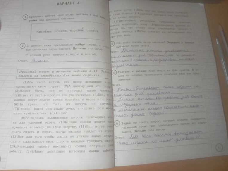 Прочитай текст и выполни задания 3-11. Запиши ответы на отведённых для этого строчках. (1) Мы часто видим, как наши домашние кошки вылизывают свою шерсть. (2) А почему они это делают? (3) Может быть, они от природы такие чистюли? (4) Ответ на этот вопрос не так уж очевиден. (5) Ведь те же кошки могут долгое время возиться в песке или земле, (6) ни грязь, ни пыль их ничуть не смущают. (7) Однако, когда они сидят дома, в чистоте, они постоянно «умываются». (8) Зачем? (9) Во-первых, вылизанная шерсть необходима кошке для удачной охоты. (10) Дикие кошки долгие часы проводят в засаде на свою жертву. (11) Они могут очень долго сидеть и ждать, когда мышка выйдет из норки. (12) Вот для того чтобы мышь не учуяла запах кошки, они и вылизывают свою шерсть каждые тридцать минут. (13) Благодаря такому инстинкту кошка получает свою добычу. (14) Наши домашние питомцы давно забыли, (15) что такое охота, (16) Но они всё равно часто вылизывают свою шерсть. (17) Древний инстинкт они унаследовали от диких предков. (18) Во-вторых, регулярное «умывание» помогает кошкам переносить жару. (19) Достоверным фактом является то, что кошки часто «умываются» именно в жаркую погоду. (20) Это помогает им регулировать температуру тела.
