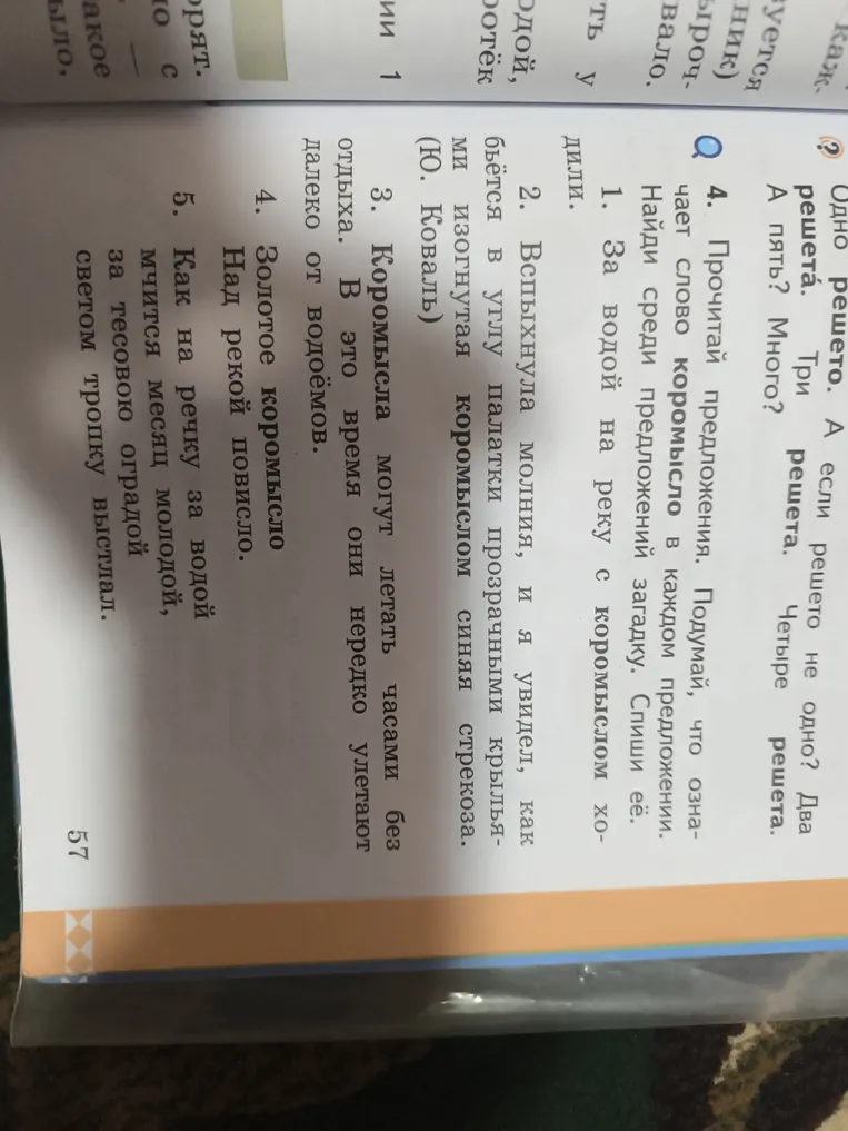 Прочитай предложения. Подумай, что означает слово «коромысло» в каждом предложении. Найди среди предложений загадку. Спиши её.