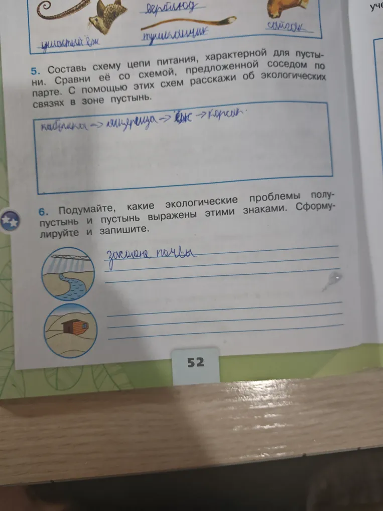 Составь схему цепи питания, характерной для пустыни. Сравни её со схемой, предложенной соседом по парте. С помощью этих схем расскажи об экологических связях в зоне пустынь.