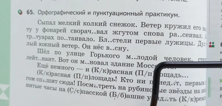 Выполни орфографический и пунктуационный практикум.