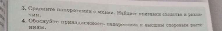 Сравните папоротники с мхами. Найдите признаки сходства и различия.