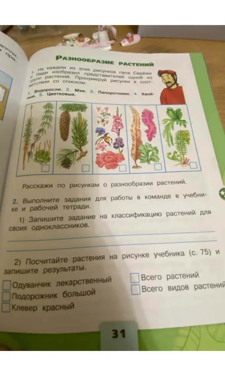 Пронумеруй рисунки в соответствии со списком.