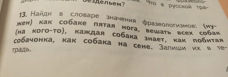 Найди в словаре значения фразеологизмов: (нужен) как собаке пятая нога, вешать всех собак (на кого-то), каждая собака знает, как побитая собачонка, как собака на сене. Запиши их в тетрадь.