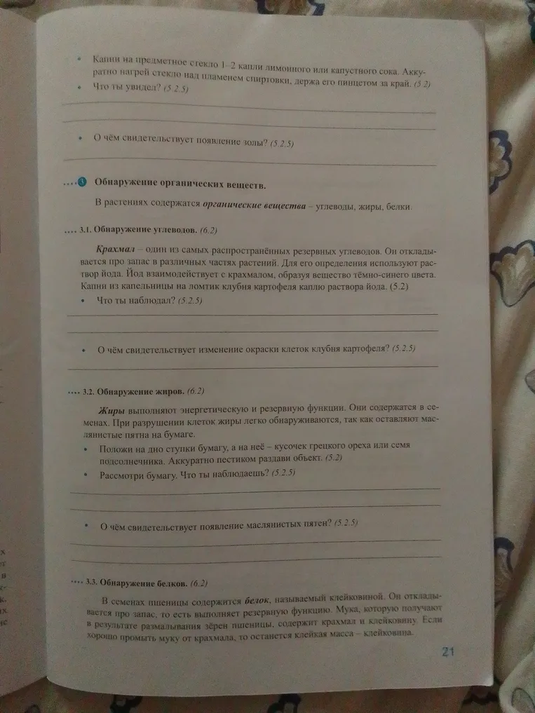 Что ты увидел?