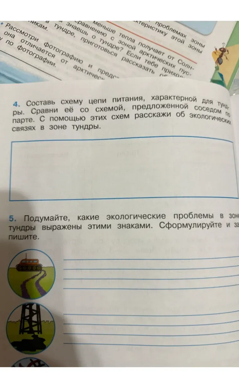 Составьте схему цепи питания, характерной для тундры.