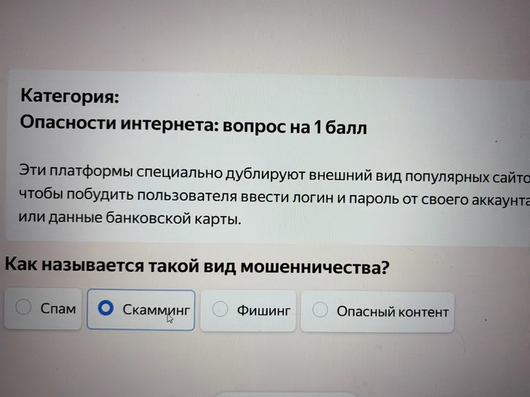 Как называется такой вид мошенничества, когда платформы дублируют внешний вид популярных сайтов, чтобы побудить пользователя ввести логин, пароль или данные банковской карты?
