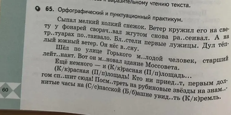 Выполните орфографический и пунктуационный практикум по тексту.