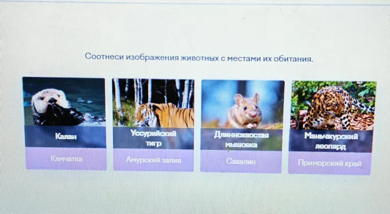 Соотнеси изображения животных с местами их обитания.