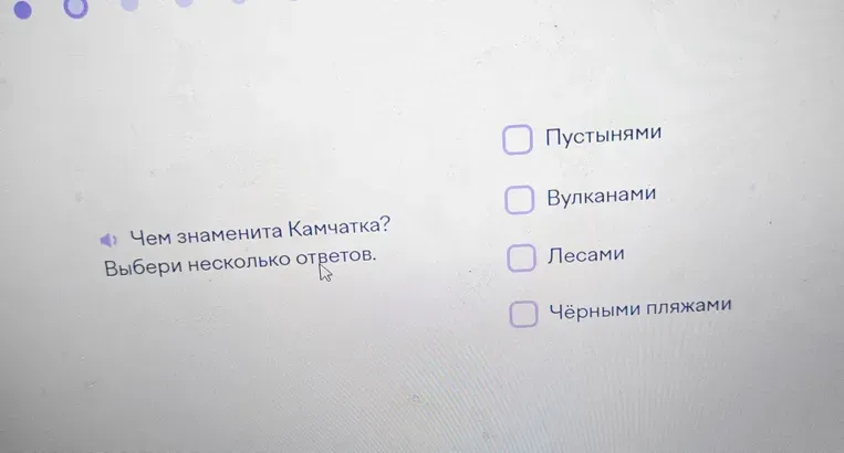 Чем знаменита Камчатка?