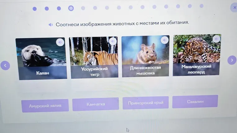 Соотнесите изображения животных с местами их обитания.