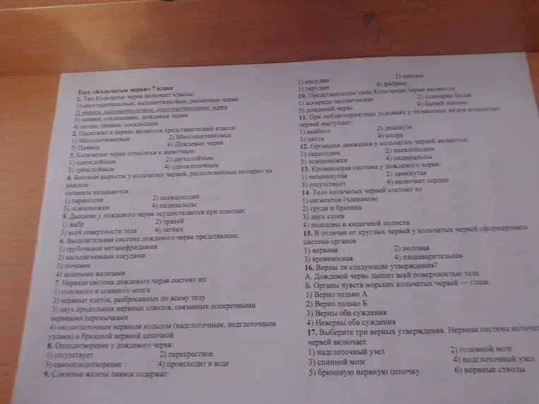 Тип Кольчатые черви включает классы