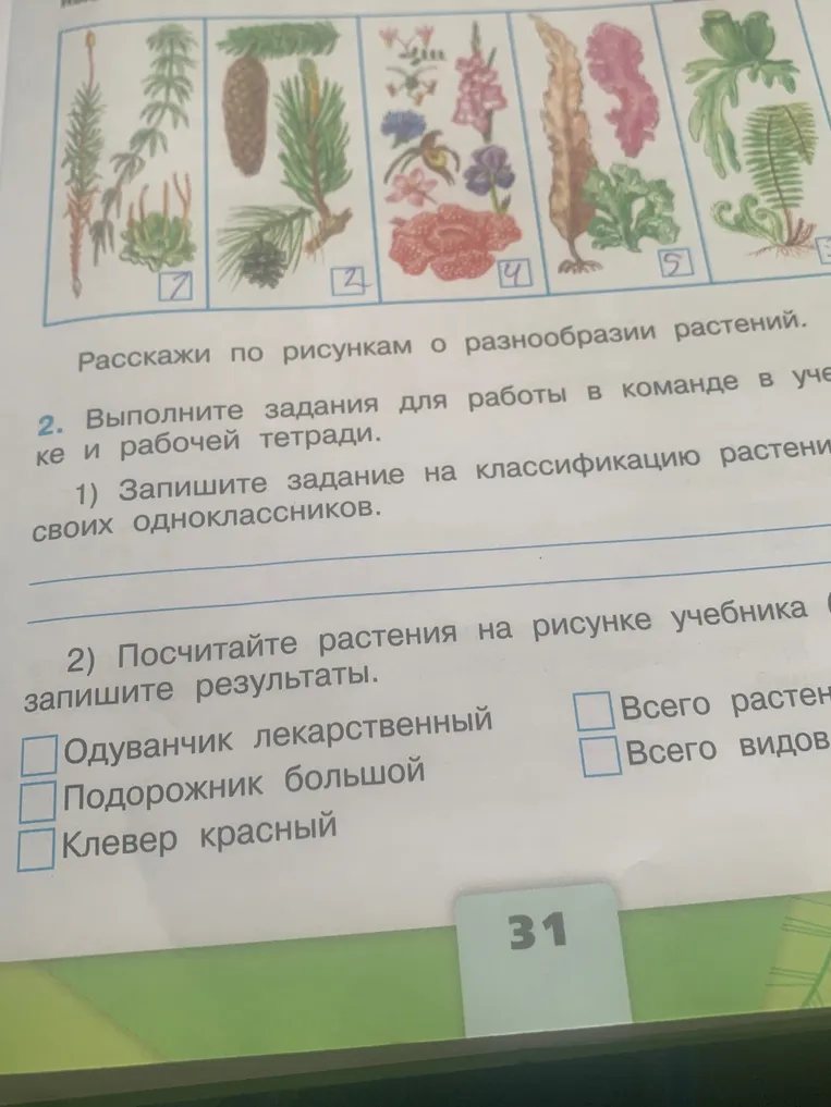 Запишите задание на классификацию растений своих одноклассников.