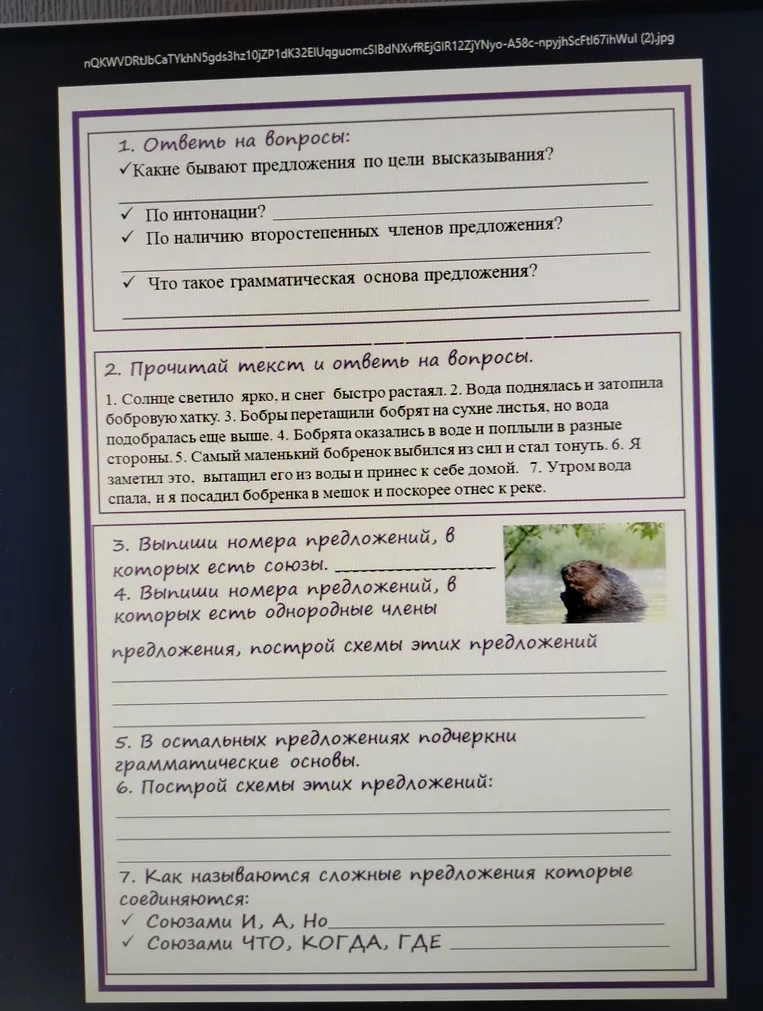 Ответь на вопросы: Какими бывают предложения по цели высказывания?