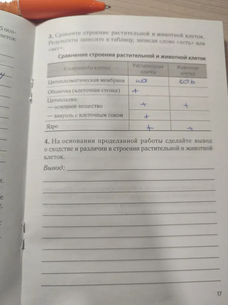 Сравните строение растительной и животной клеток. Результаты занесите в таблицу, записав слово «есть» или «нет».