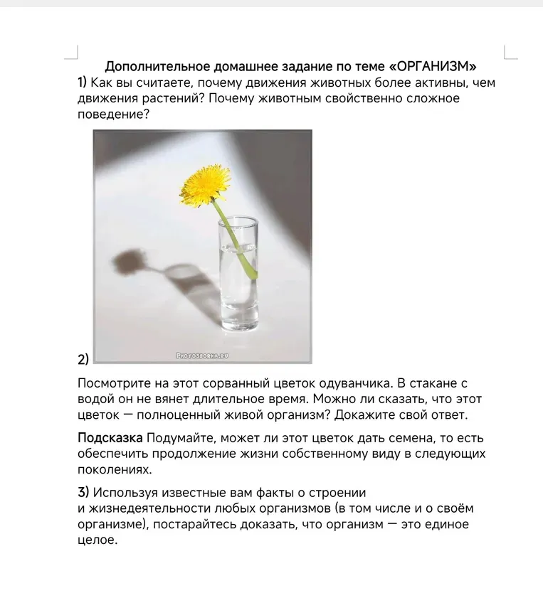 Как вы считаете, почему движения животных более активны, чем движения растений? Почему животным свойственно сложное поведение?