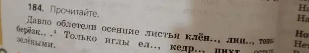 Прочитайте отрывок и разберите слово, обозначенное цифрой 4.