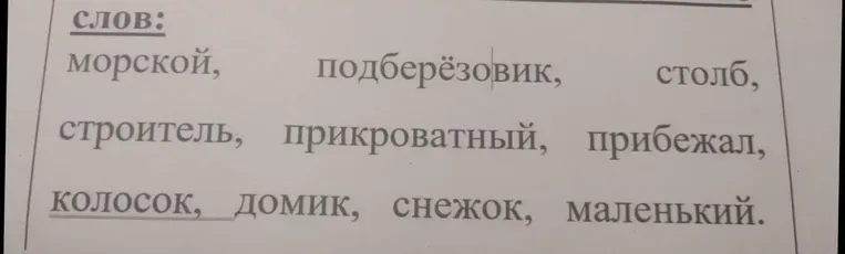 сделать морфемный разбор слов: морской, подберёзовик, столб, строитель, прикроватный, прибежал, колосок, домик, снежок, маленький.