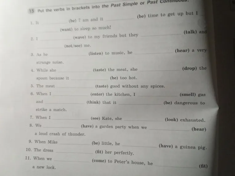 Put the verbs in brackets into the Past Simple or Past Continuous.