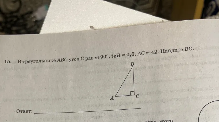 В треугольнике ABC угол C равен 90°, tgB = 0,6, AC = 42. Найдите BC.