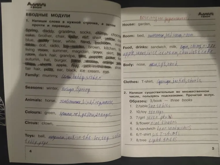 Напиши слова в нужной строчке, а затем прочти и переведи.