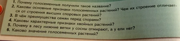 Почему голосеменные получили такое название?