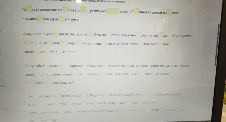 Вставьте пропущенные буквы и знаки препинания в текст.