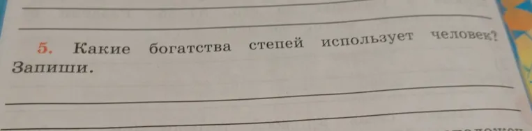 Какие богатства степей использует человек? Запиши.