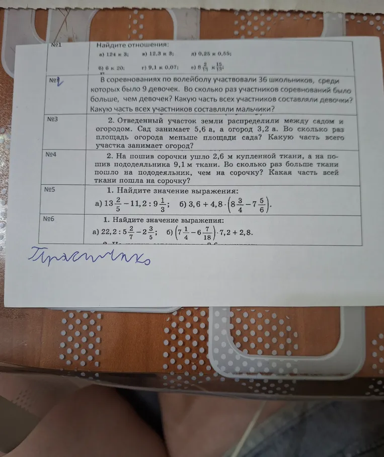 Найдите отношение 124 к 3, 12,3 к 3, 0,25 к 0,55, 6 к 20, 9,1 к 0,07, 8 2/13 к 15 1/13.