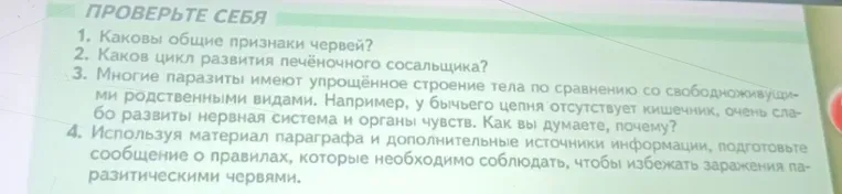 Какие общие признаки червей?