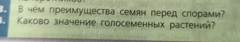 В чём преимущества семян перед спорами?