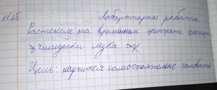 Лабораторная работа: Растение на временном препарате кожицы лука. Цель: научиться самостоятельно готовить.