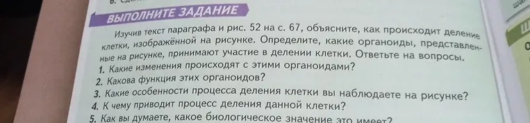 Изучите текст параграфа и рис. 52 на с. 67, объясните, как происходит деление клетки, изображённой на рисунке. Определите, какие органоиды, представленные на рисунке, принимают участие в делении клетки. Ответьте на вопросы. 1. Какие изменения происходят с этими органоидами?