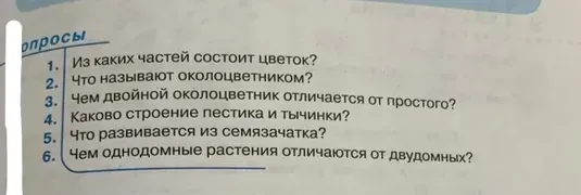 Из каких частей состоит цветок?