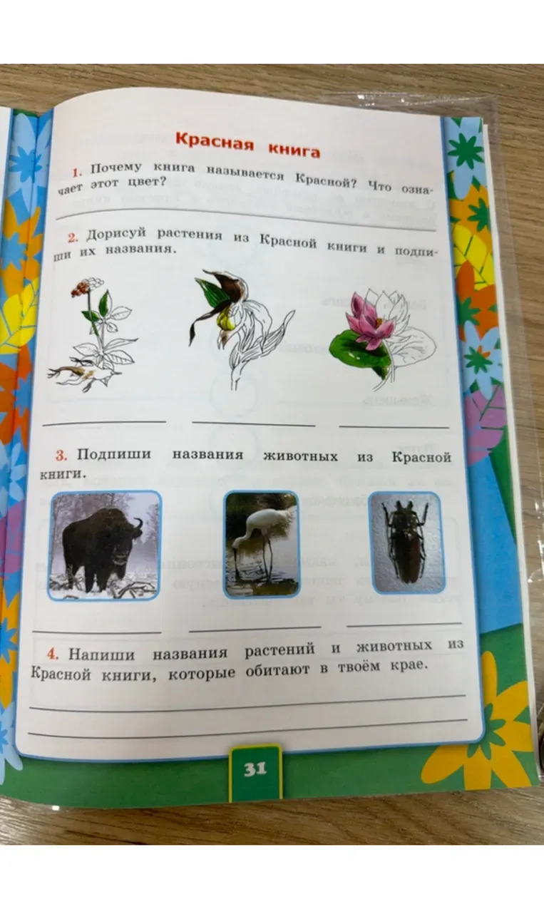 Почему книга называется Красной? Что означает этот цвет?