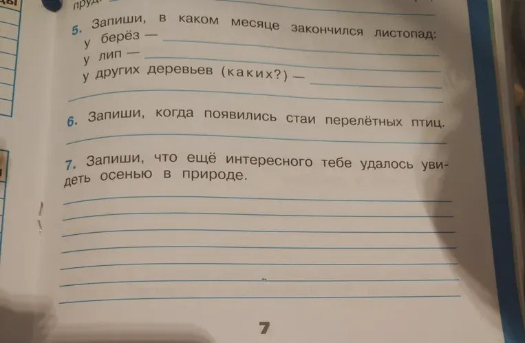 Запиши, в каком месяце закончился листопад: у берёз, у лип, у других деревьев (каких?)