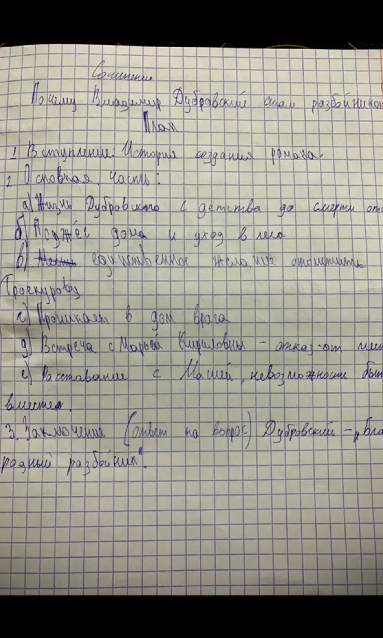 Напишите сочинение по плану