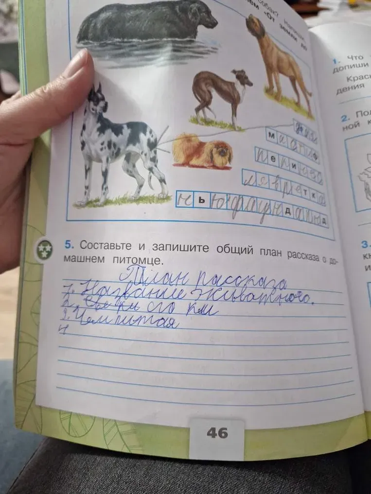 Составьте и запишите общий план рассказа о домашнем питомце.