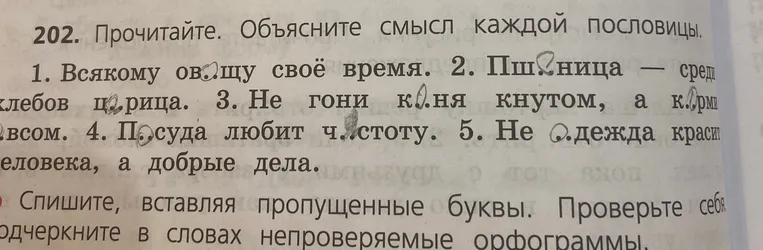 Прочитайте. Объясните смысл каждой пословицы.