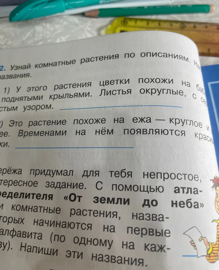 Узнай комнатные растения по описаниям: 1) У этого растения цветки похожи на бабочек с поднятыми крыльями. Листья округлые, с серебристым узором.