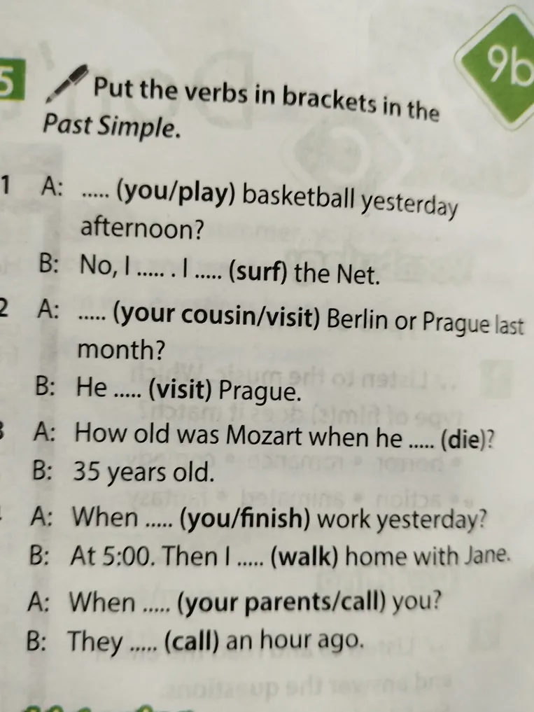 Put the verbs in brackets in the Past Simple.
